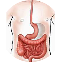 袖狀胃切除手術